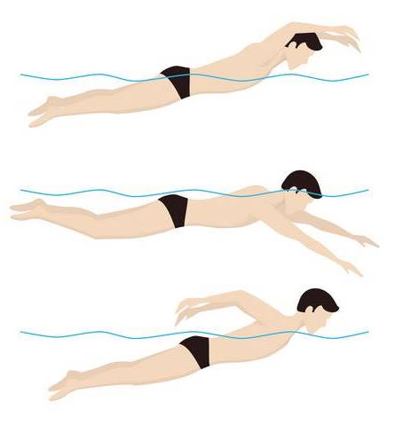 Macam Macam Gaya Renang Dan Penjelasan Tekniknya Gambar Infoakurat Com