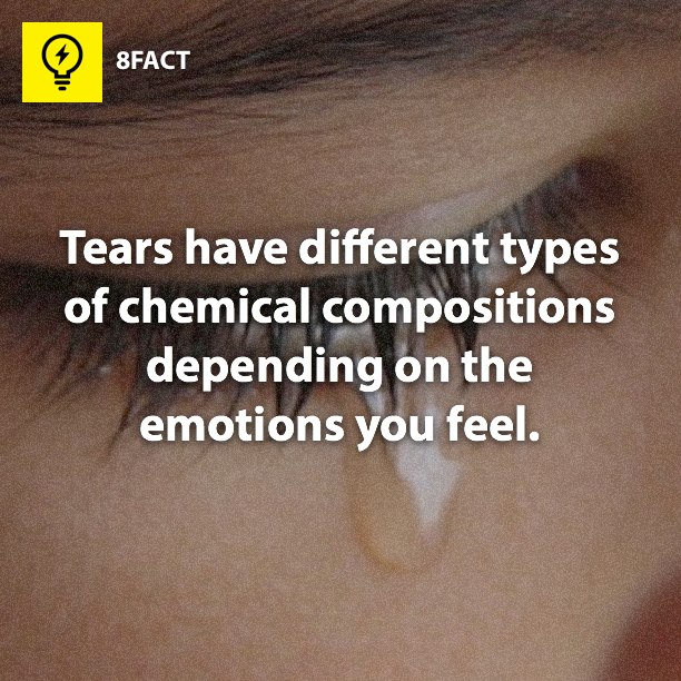 Tears have different types of chemical compositions depending on the emotions you feel. 8FACT