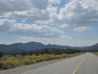 Blooming rabbitbrush along CA 168 near Westgard Pass, Eastern Sierras, California