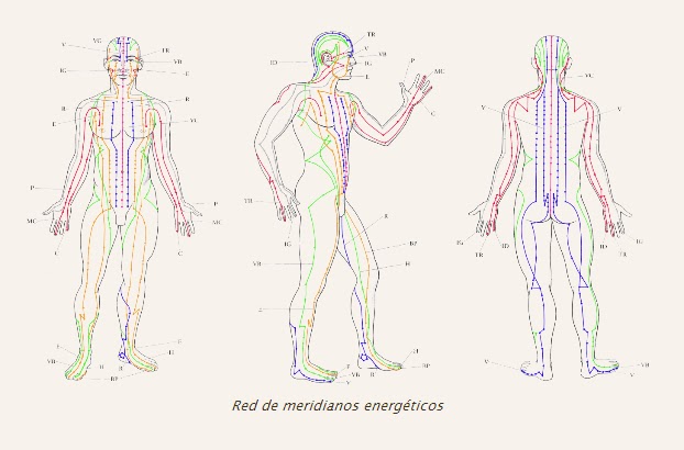 Меридианы человека схема и направления китайская