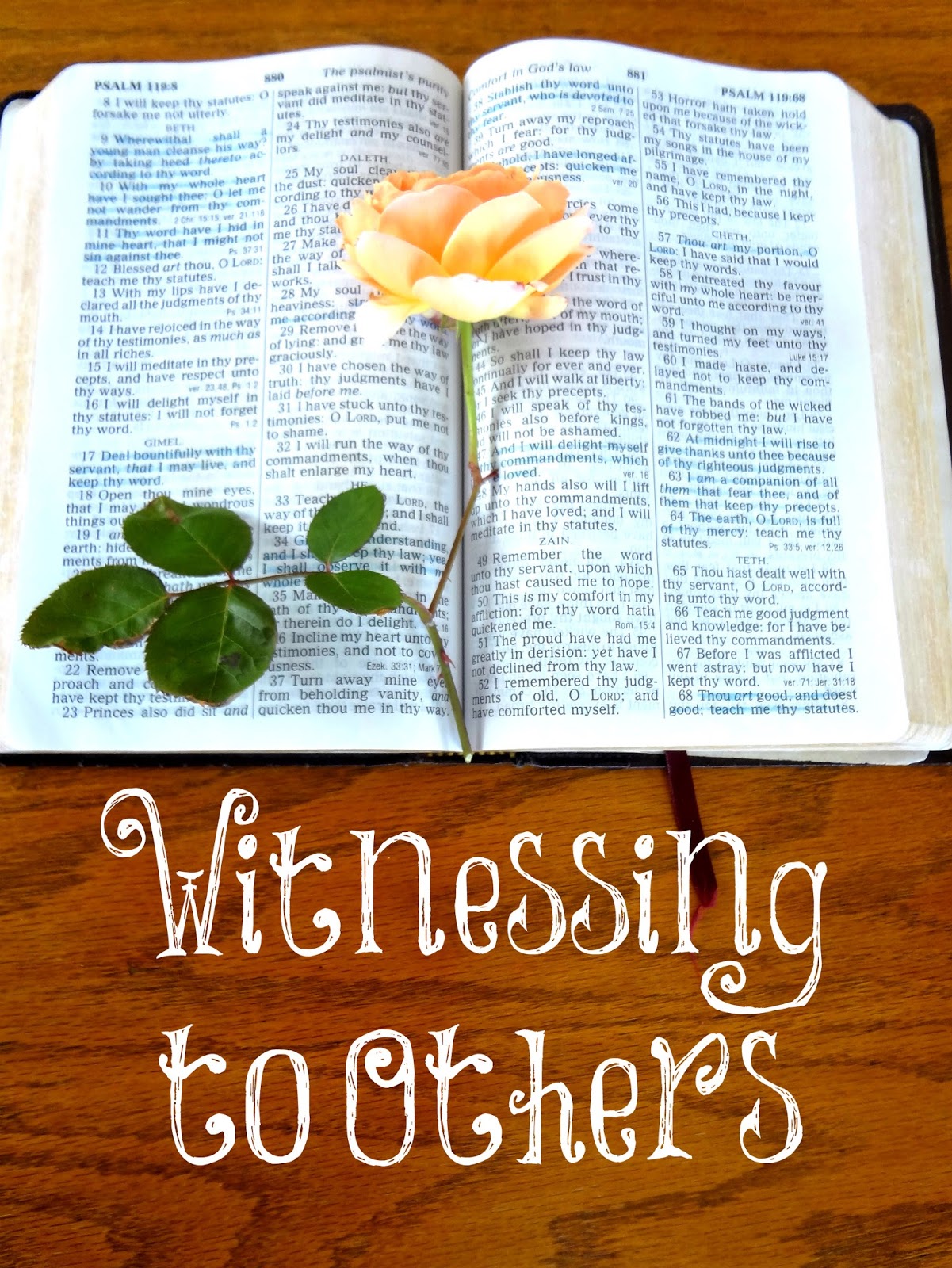 Always Learning Help for Witnessing to Others