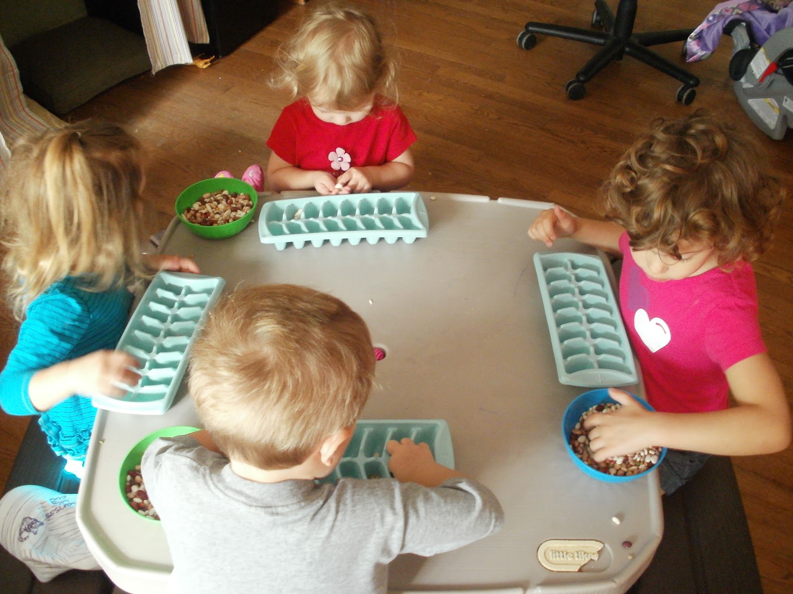 Little Stars Learning: Seeds! Seeds! Seeds! Book Activity #1 Seed Sorting