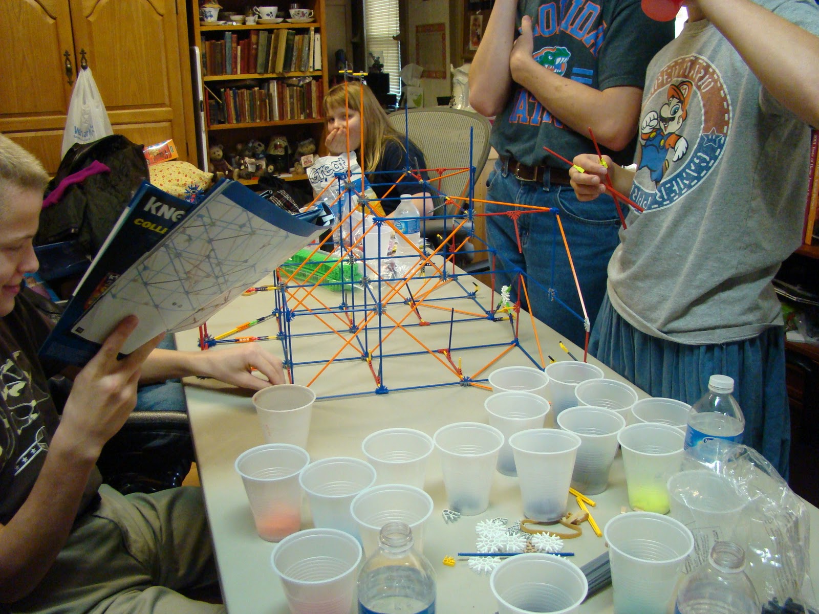 At the Fence: K-NEX Steel Scorpion Roller Coaster Review