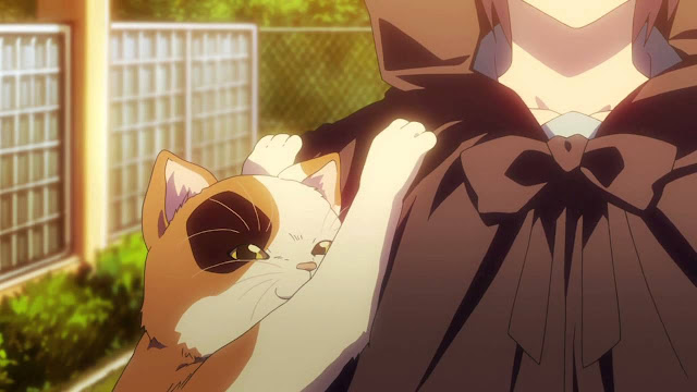 Best cats in anime