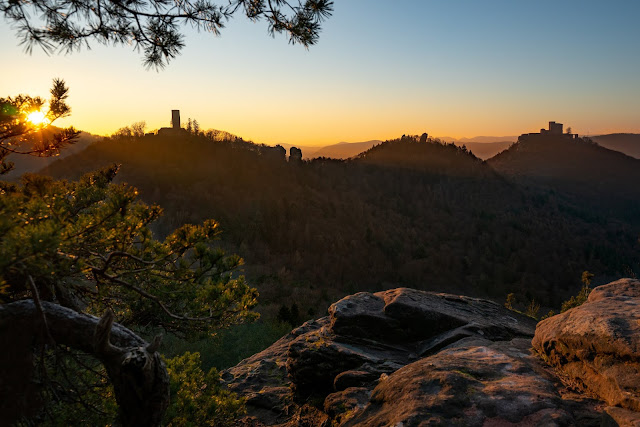 Richard-Löwenherz-Weg  Annweiler am Trifels  Wandern Südliche Weinstraße  Wanderung Pfälzerwald 16