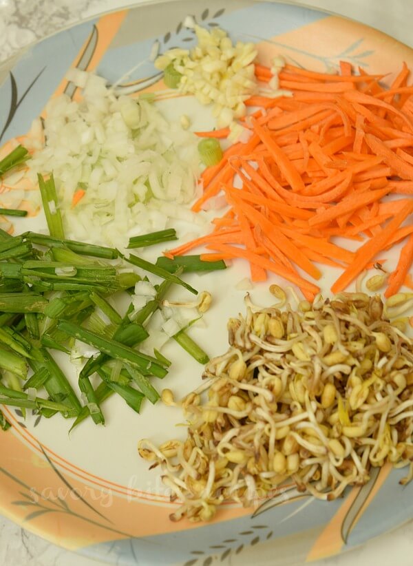 a plate with pad thai ingredients - carrots,mung bean sprouts,spring onion greens and whites,garlic chopped