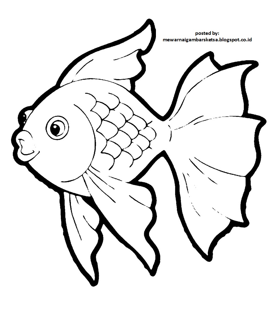 Mewarnai Gambar Mewarnai Gambar Sketsa  Hewan  Ikan 2