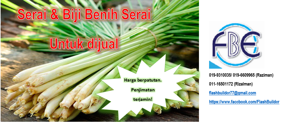 Serai & Biji Benih Untuk Dijual