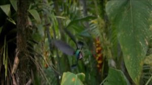 Let Me Praise Lyrics by Babbu Maan