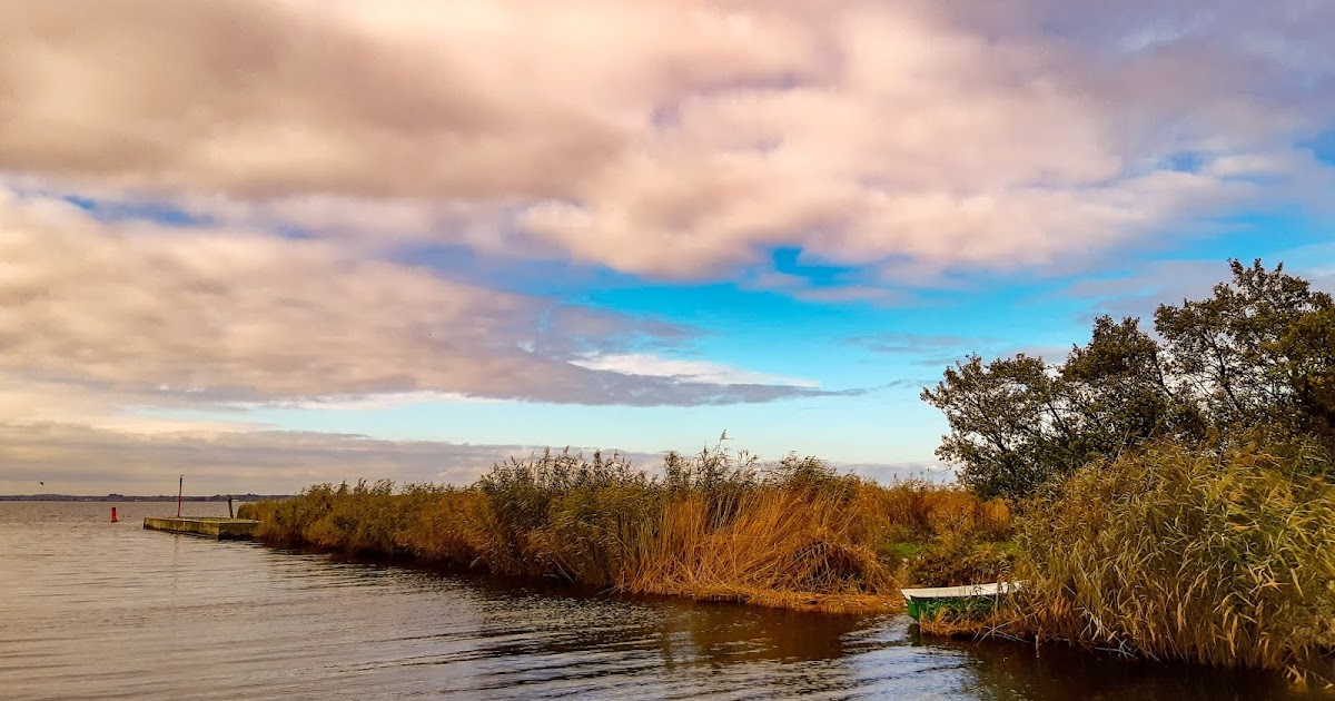 Nisnis Bucherliebe Handlettering Das Grosse Buch Der Schmuckelemente