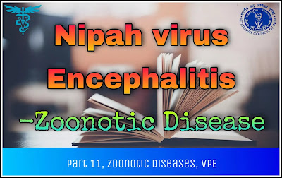 Nipah virus Disease.