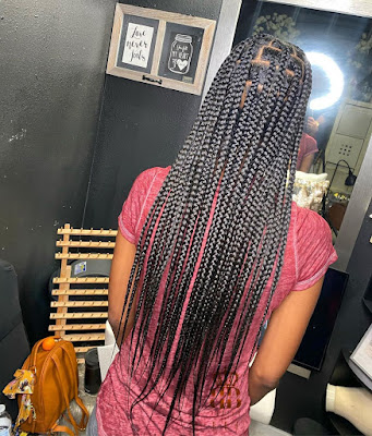 Latest Braids Hairstyles 2021 Pictures for ladies