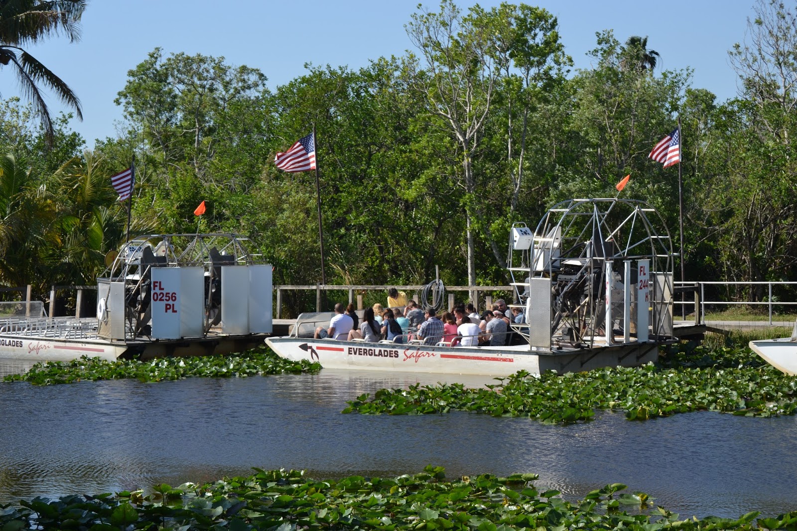 Parque Nacional Everglades - Miami - Un crucero para mi (2)