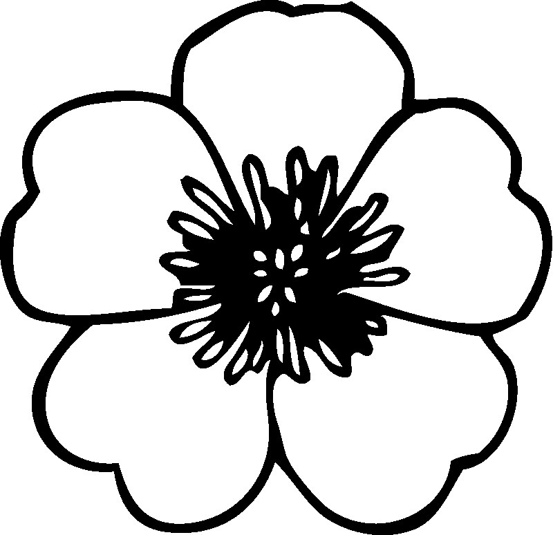 Preschool Flower Coloring Pages Flower Coloring Page