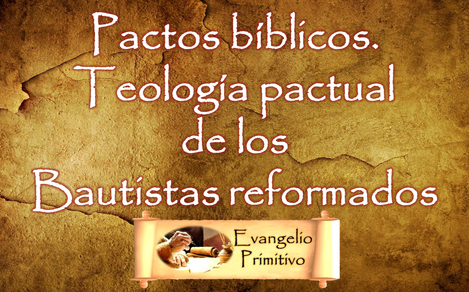 Comentarios