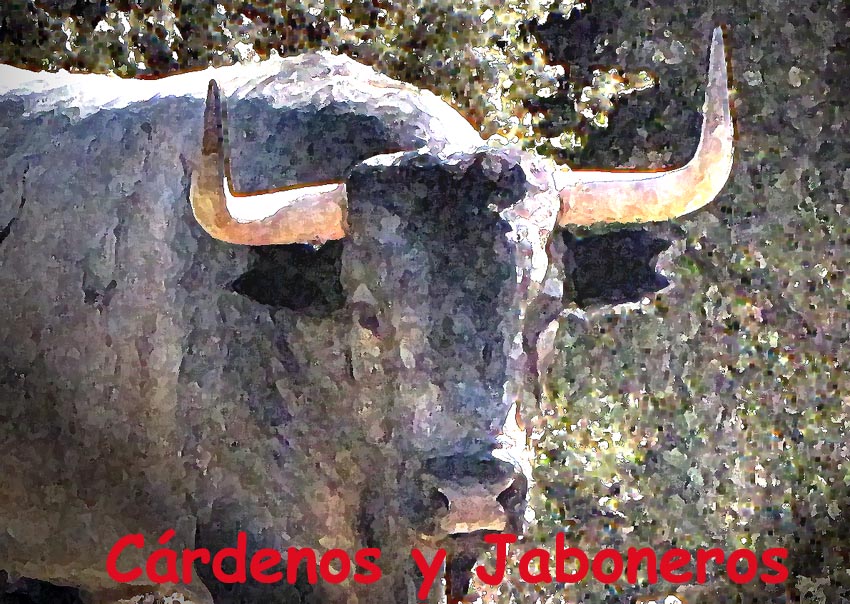 Cárdenos y Jaboneros