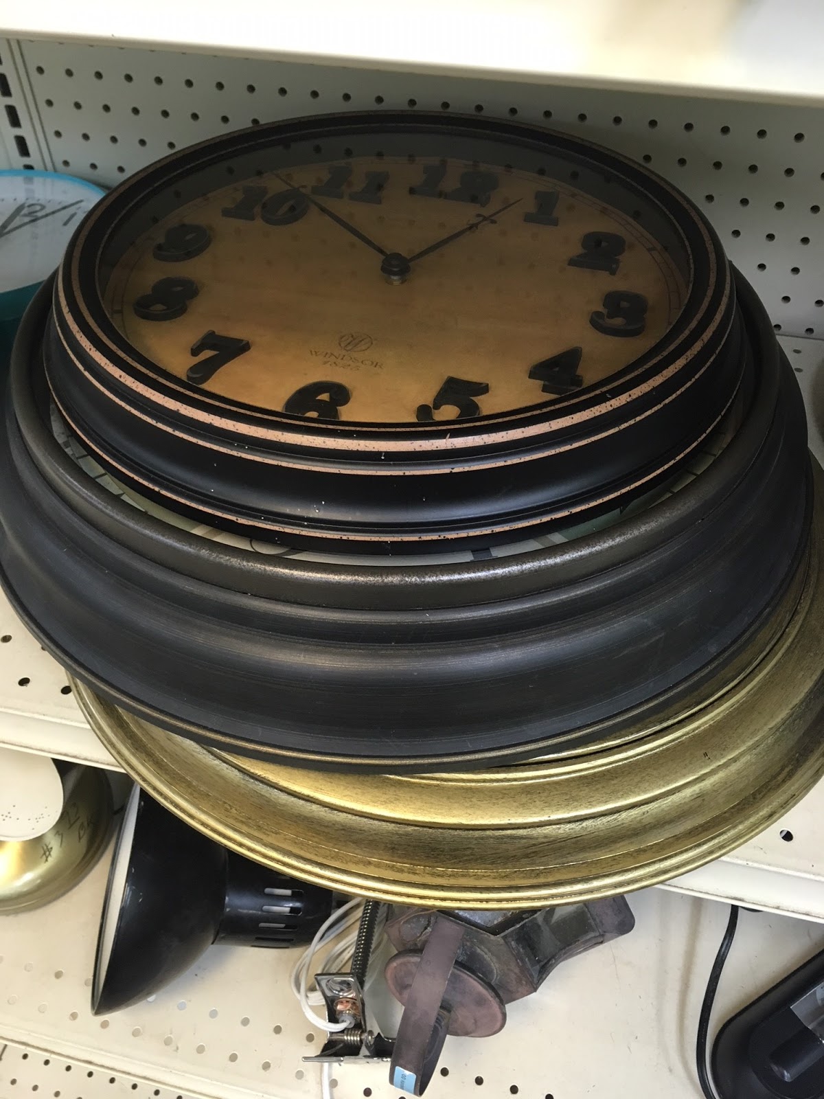 Spotted Goodwill Bean In Love