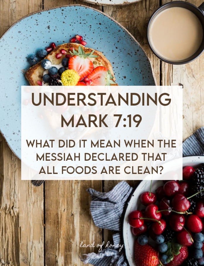 land of honey Understanding Mark 719 and the Messiah Declaring All