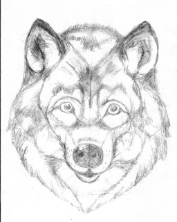 original sketch for wolf needlepoint