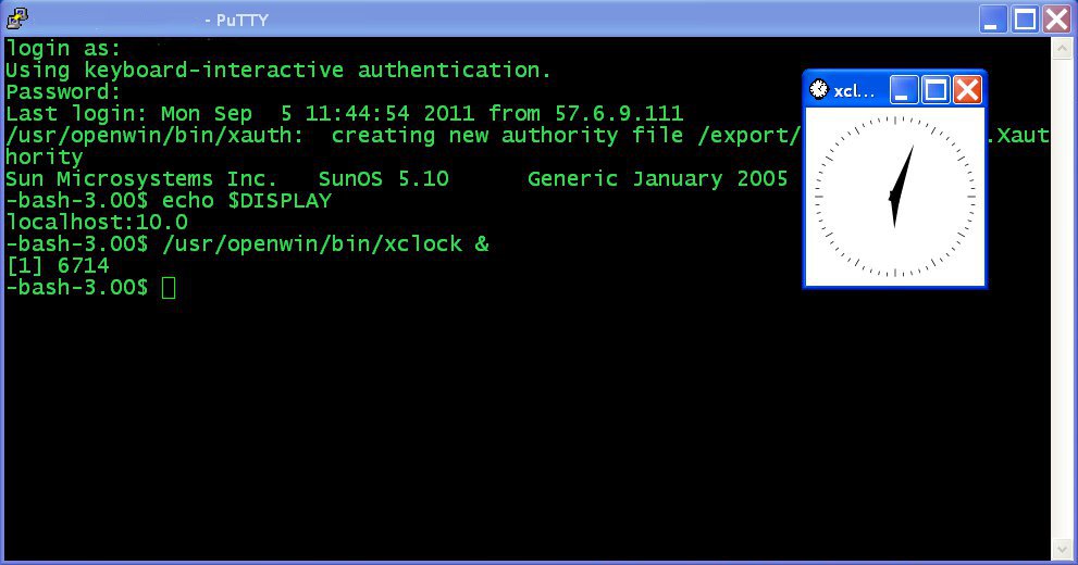 grep answers unix X11 tunneling, ssh and su