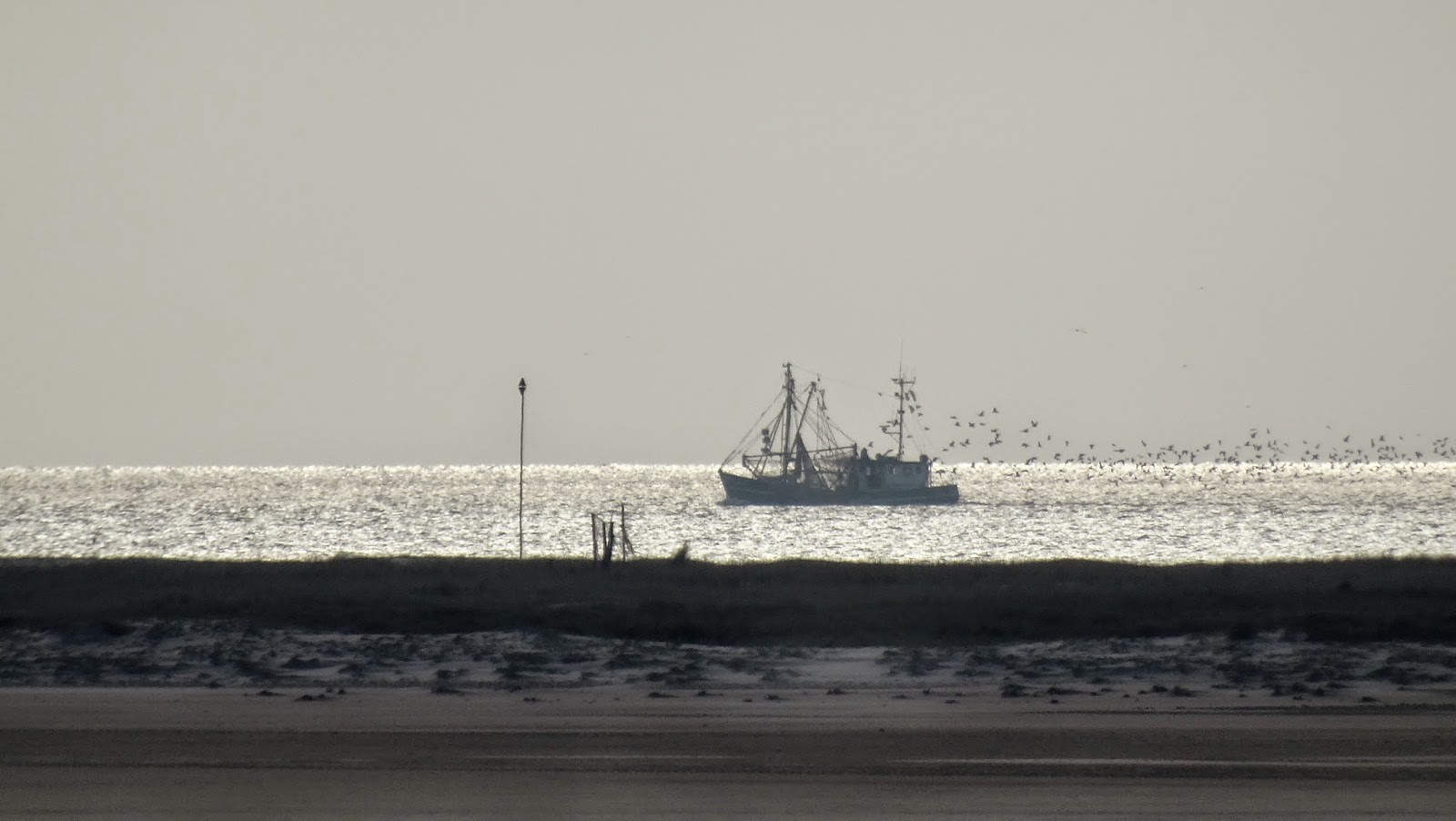 Tagebuch auf www.killert.de: Auf meiner Insel 24