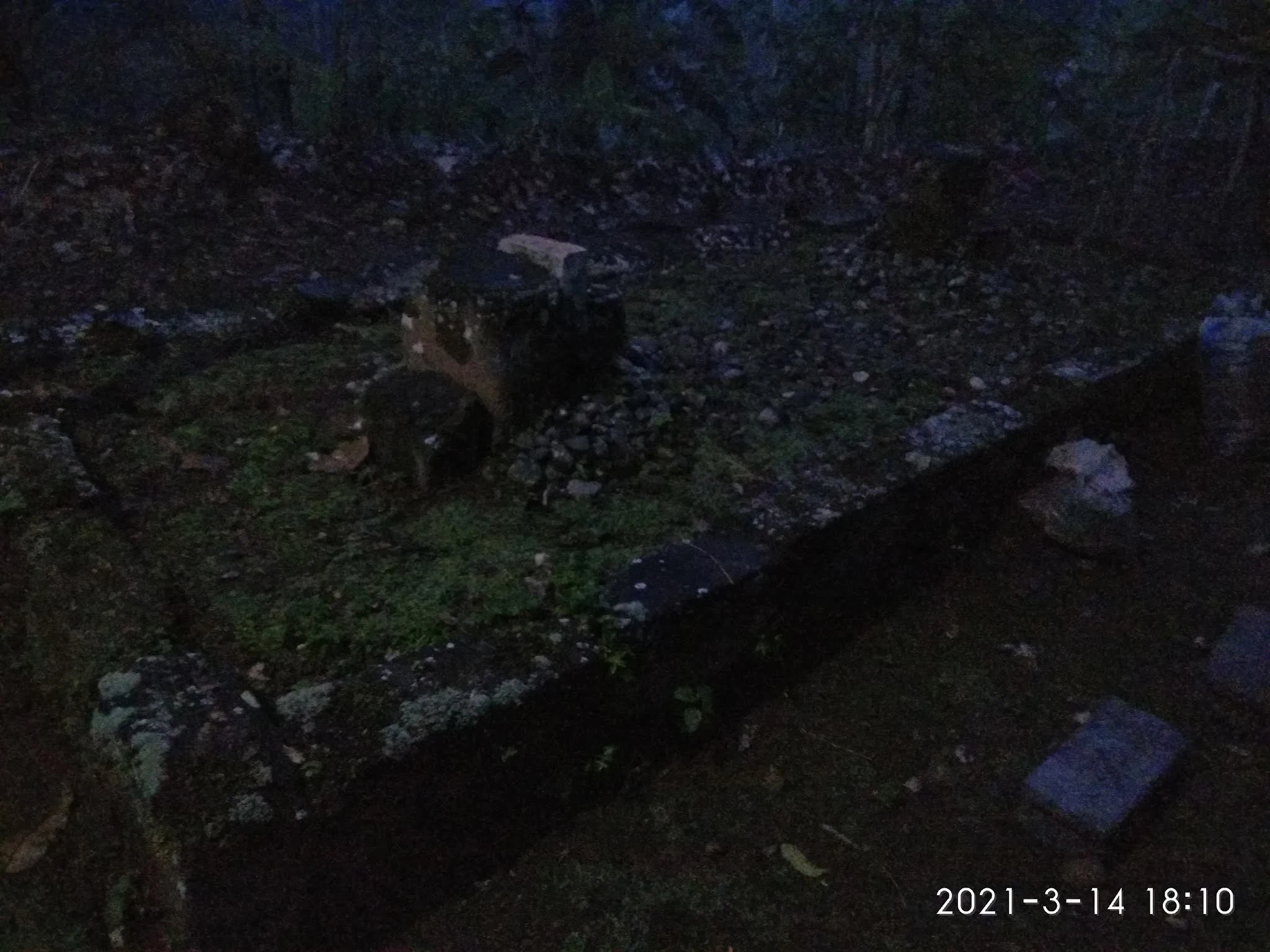 Makam RA. Nyai Kemuning Dalem Agung