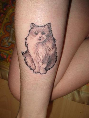 Lets Get Inked Girls Cats Leg And Ankle Tattoos For Girls