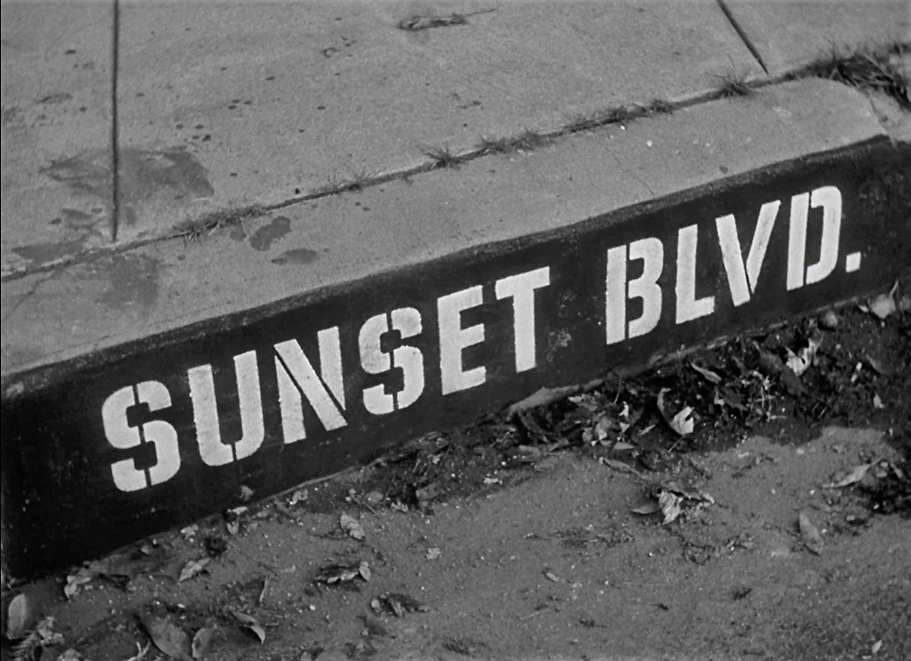 DREAMS ARE WHAT LE CINEMA IS FOR: SUNSET BOULEVARD 1950