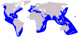 Boz yunus doğal yaşam alanı haritası