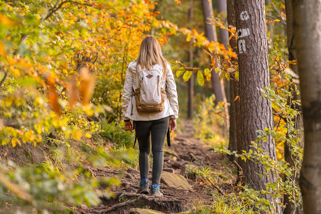 Birkweiler Rundwanderweg Hohenberg | Wandern Südliche Weinstrasse | Landau-Land 11