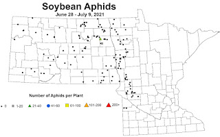Map of North Dakota and Minnesota with results of fields scouted for soybean aphid.
