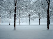 E' come se tutta questa neve volesse dirci qualcosa.