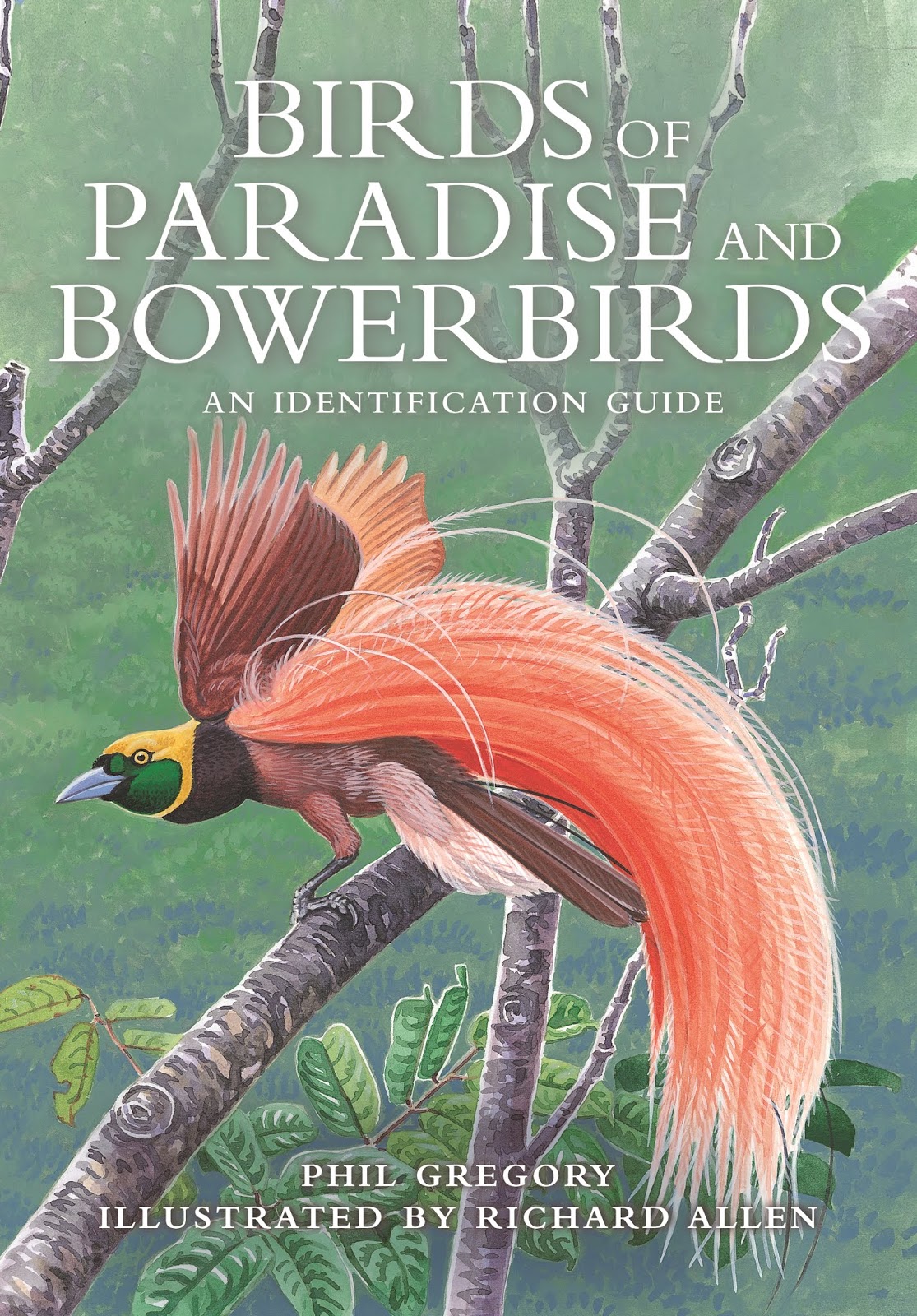 Book Review - Birds of Paradise and Bowerbirds - An Identification