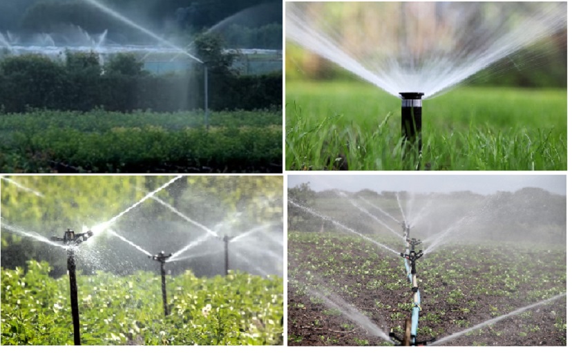 Types and Features of Sprinkler or Overhead Irrigation System