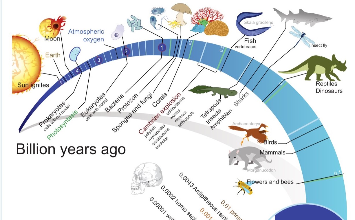 Popular Chemistry Online: EVOLUTION