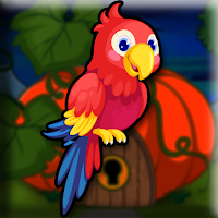 Play Games2Jolly Pretty Macaw Escape