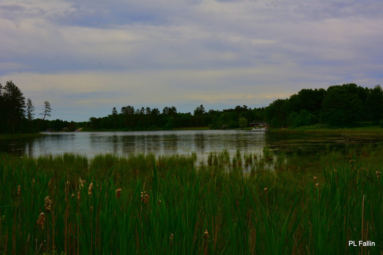 PL Fallin Photography