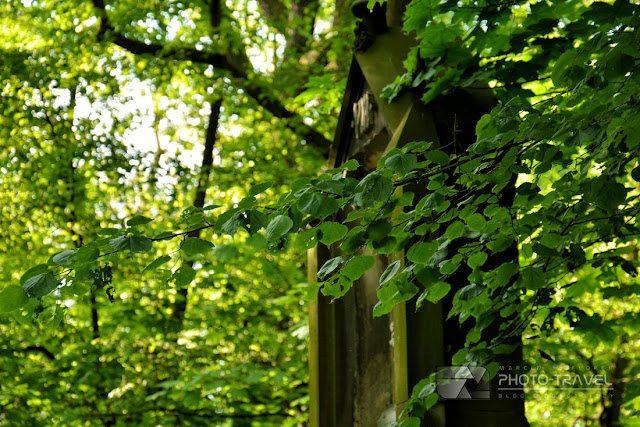 Droga krzyżowa i kościół na Wzgórzu Kaplicznym (Świętym Wzgórzu) w Lesie Osobowickim we Wrocławiu - atrakcje Wrocławia