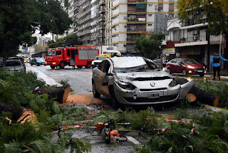 22 05 2021 caida de un arbol sobre%2B%25282%2529