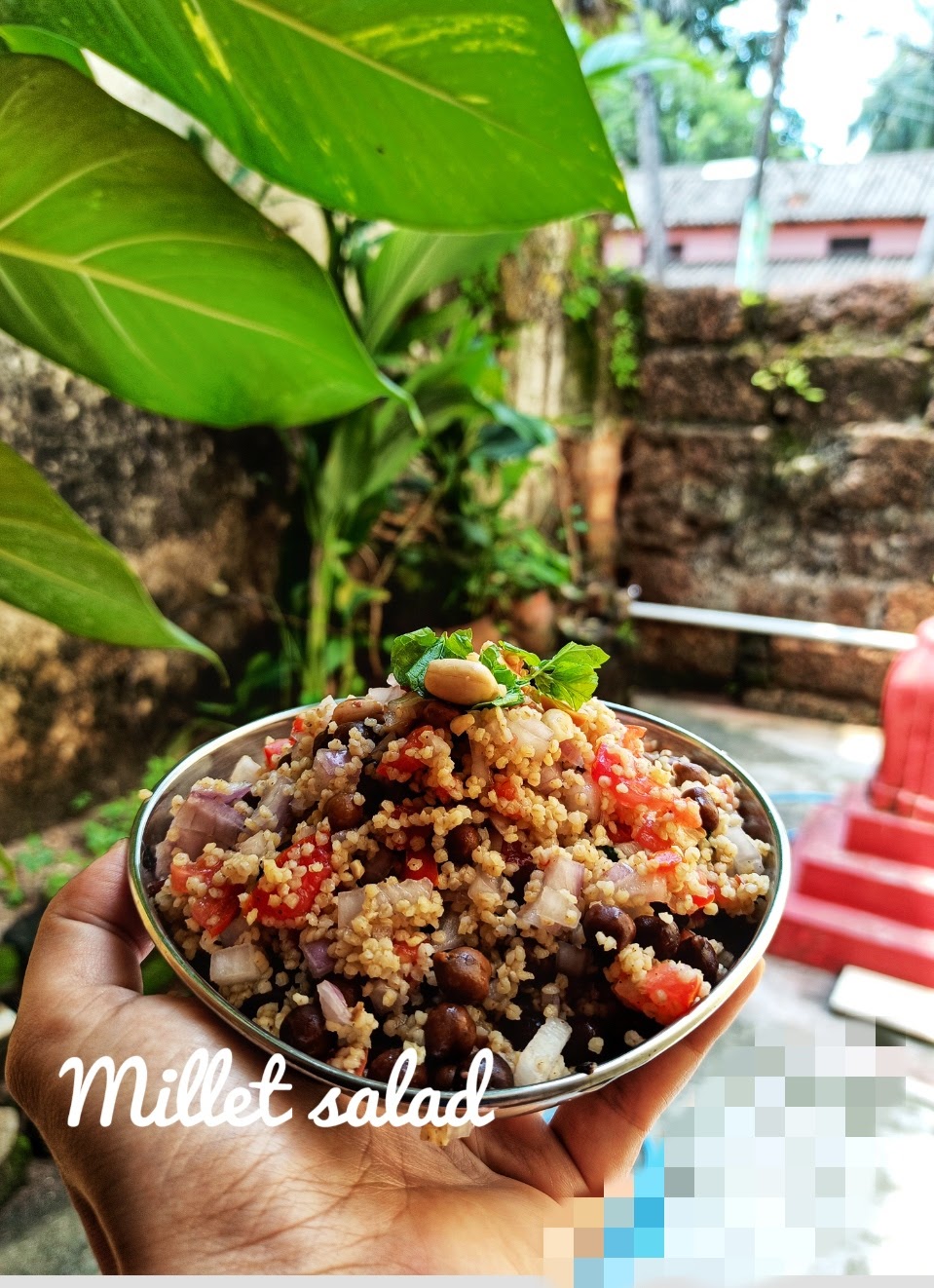 Millet Salad Indian Recipe for Weight Loss FOXTAIL Millet Salad With