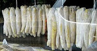 http://www.aseppetir1.com/2015/08/tape-bandung-fermentation-of-cassava.html