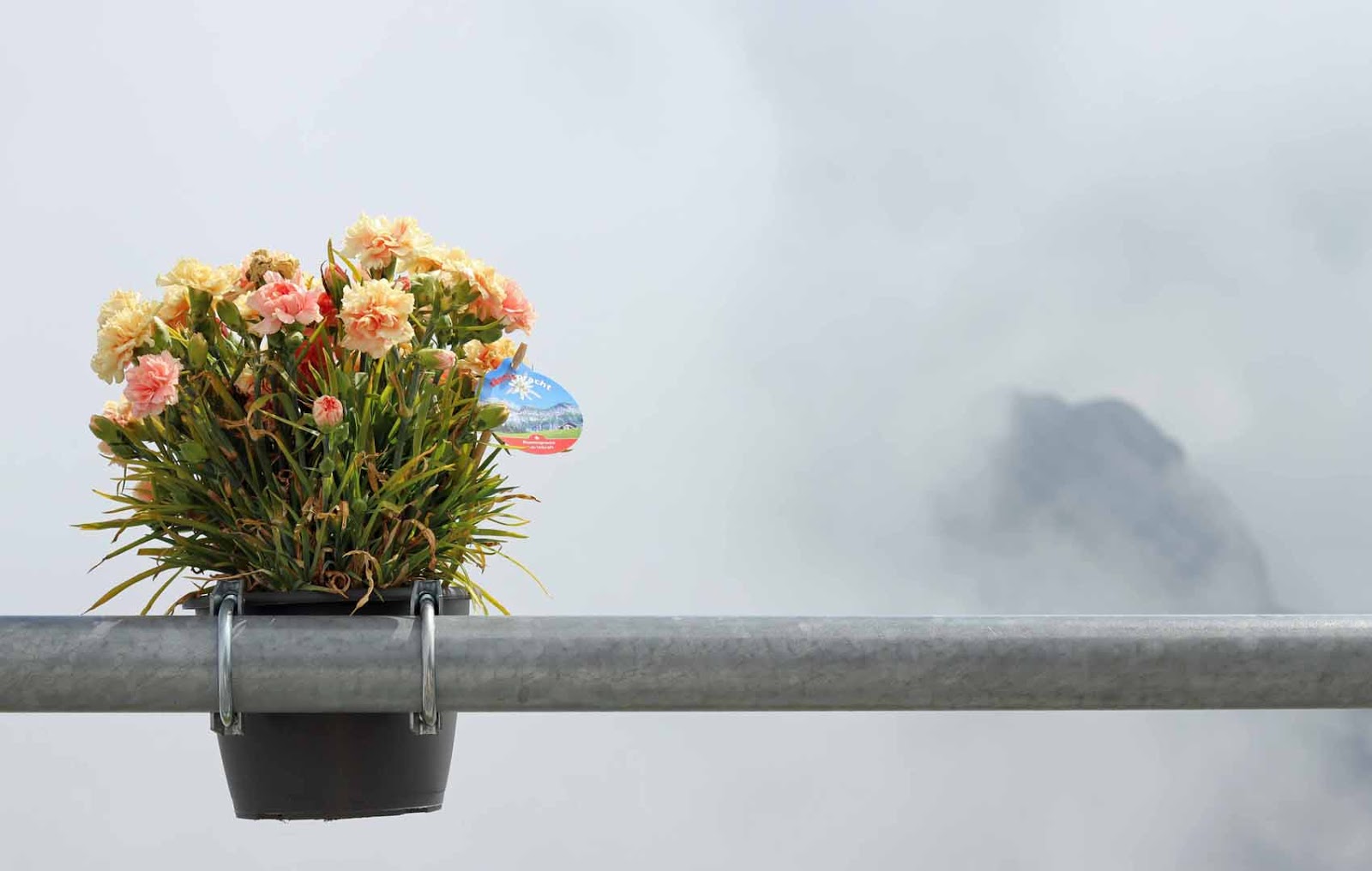 Kukkaset korkeuksissa Terassin kukkaruukku