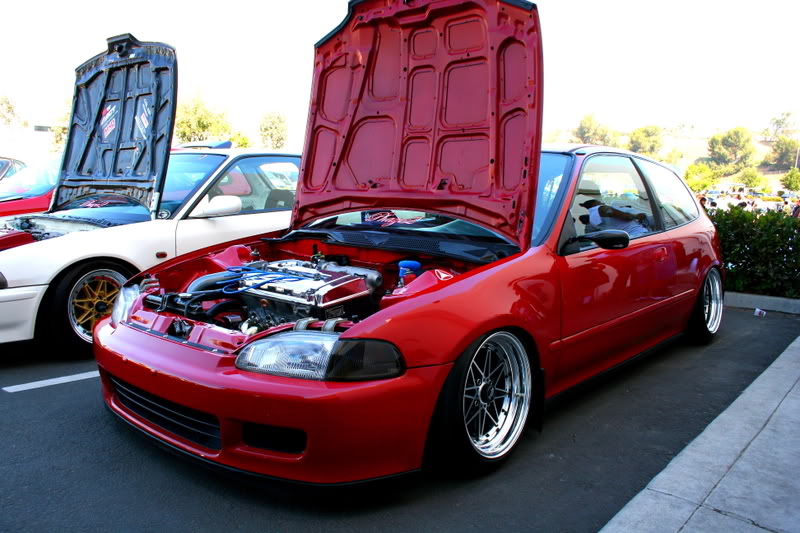 Mr lowrider305 JDM,HONDA,IMPORTS,JAPAN