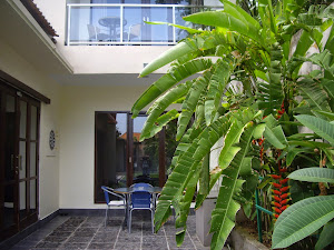 VILLA DE COOPS OFFERS BEAUTIFUL LANDSCAPING AND A PRIVATE POOL FOR YOUR PLEASURE