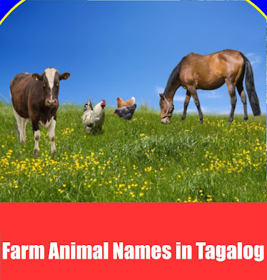 See Farm Animal Names in Tagalog