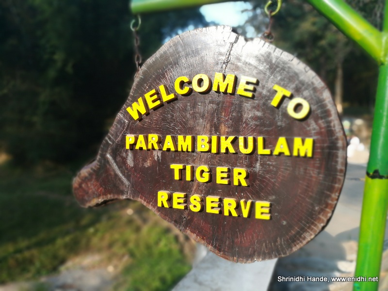 Topslip (TN) and Parambikulam (Kerala) really worth visiting? - eNidhi  India Travel Blog