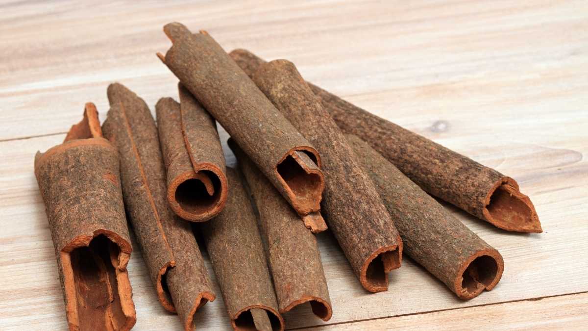 Cassia cinnamon