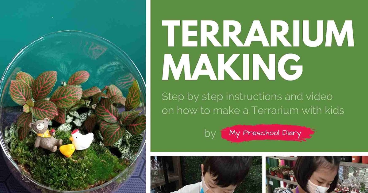 Terrarium Making with Kids