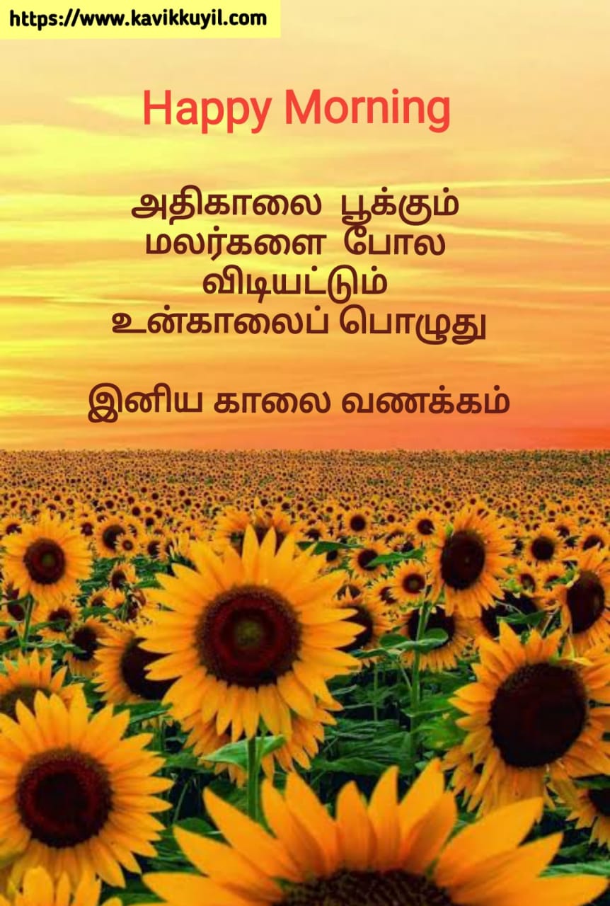 Good Morning Quotes in Tamil || காலை வணக்கம் ...