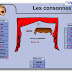 برنامج جميل و مفيد جدا لتعلم الفرنسية لاطفالنا في الطور الابتدائي